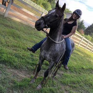 Meet your Posher, Lily